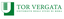 Deadline of 14:00 CET 24th July for Ph.D Candidatures - Univ. Tor Vergata with ENEA - Position on Inertial Confinement Fusion and laser-matter interaction
