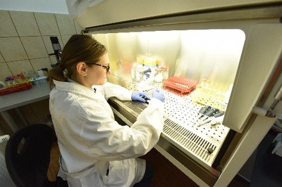Photonic investigation methods based on lab-on-a-chip systems are developed at the biophotonics infrastructure from CETAL-PhIL. Photonic investigation methods based on lab-on-a-chip systems are developed at the biophotonics infrastructure from CETAL-PhIL.