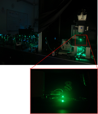 Scanning Near-field Optical Microscope (SNOM) Scanning Near-field Optical Microscope (SNOM)