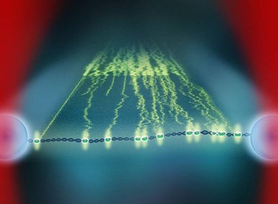 DNA manipulated