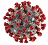 ERF's Review of Working Practices of Analytical Facilities During the Pandemic