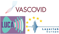 Investigating blood flow in severe COVID-19 patients - News article on CORDIS