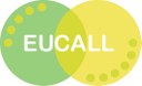 Young Researcher Travel Bursaries for ELI Summer School 2016 and Science@FELs 2016